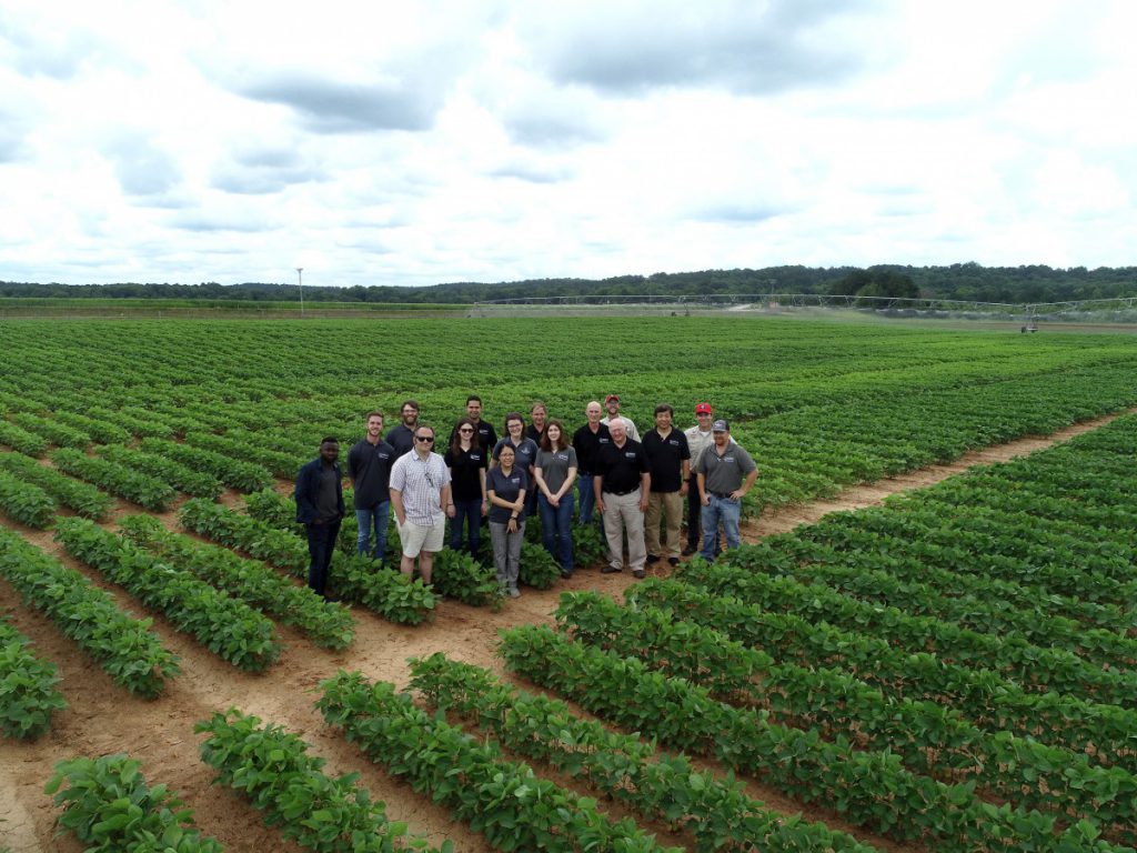 Group Soybean Field 2019