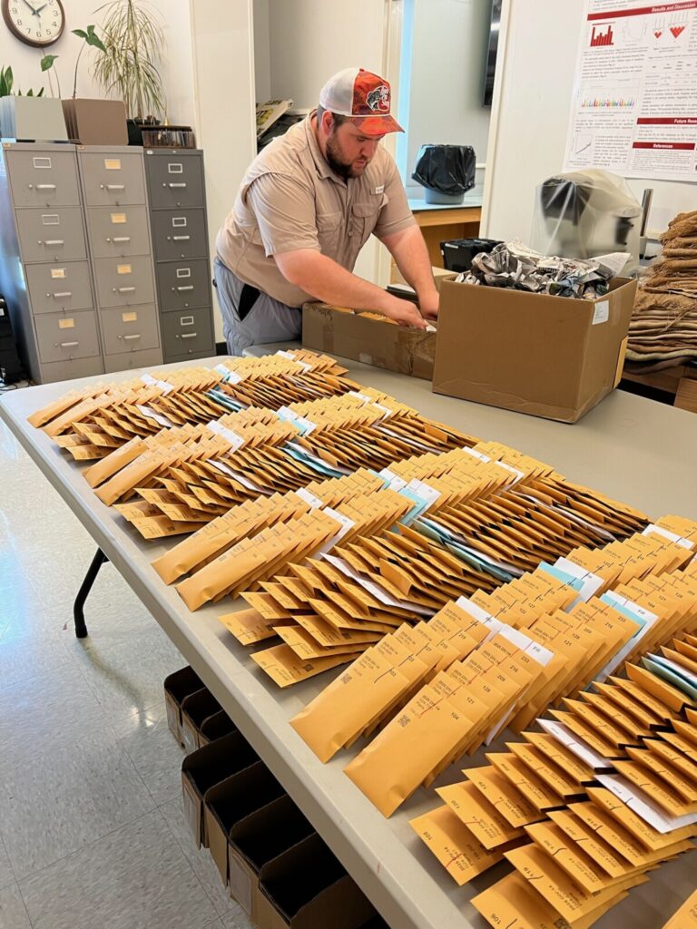 Justin laying out envelopes for planting (large view).