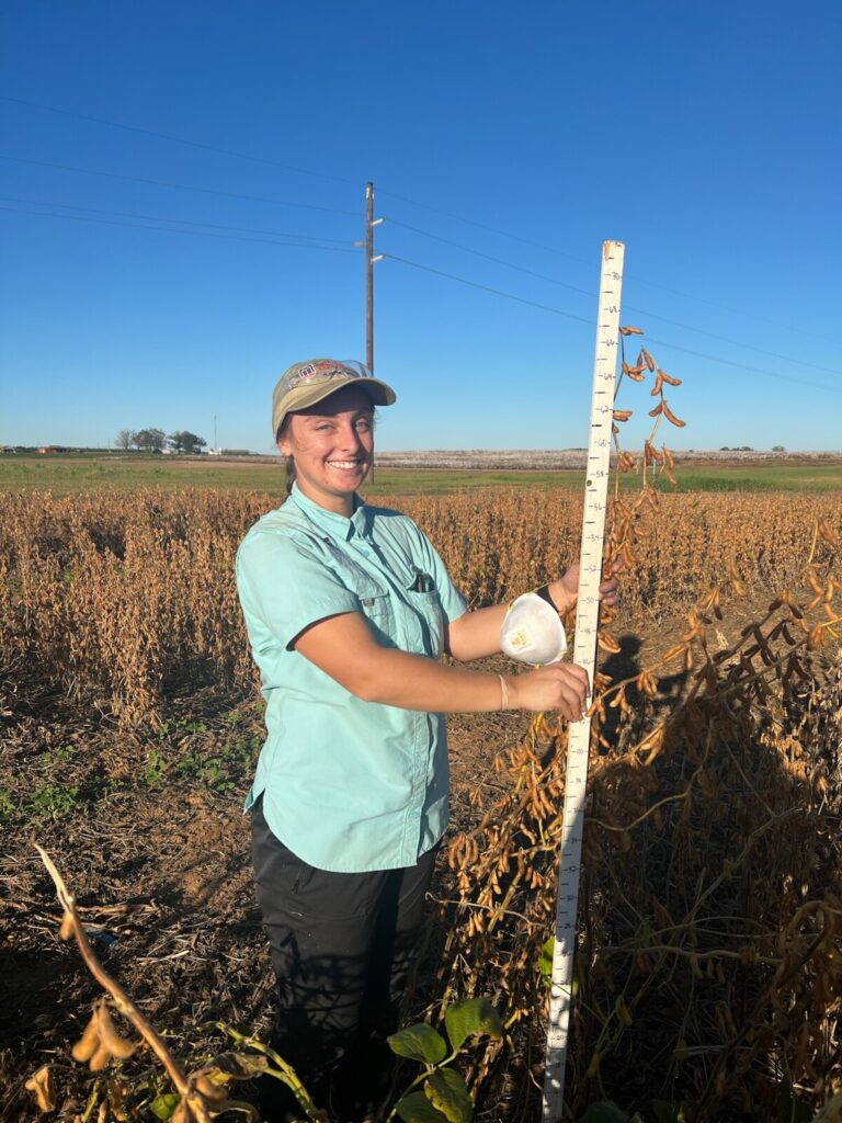 Dallas measuring the height of a soybean plant that's taller than her (large view).