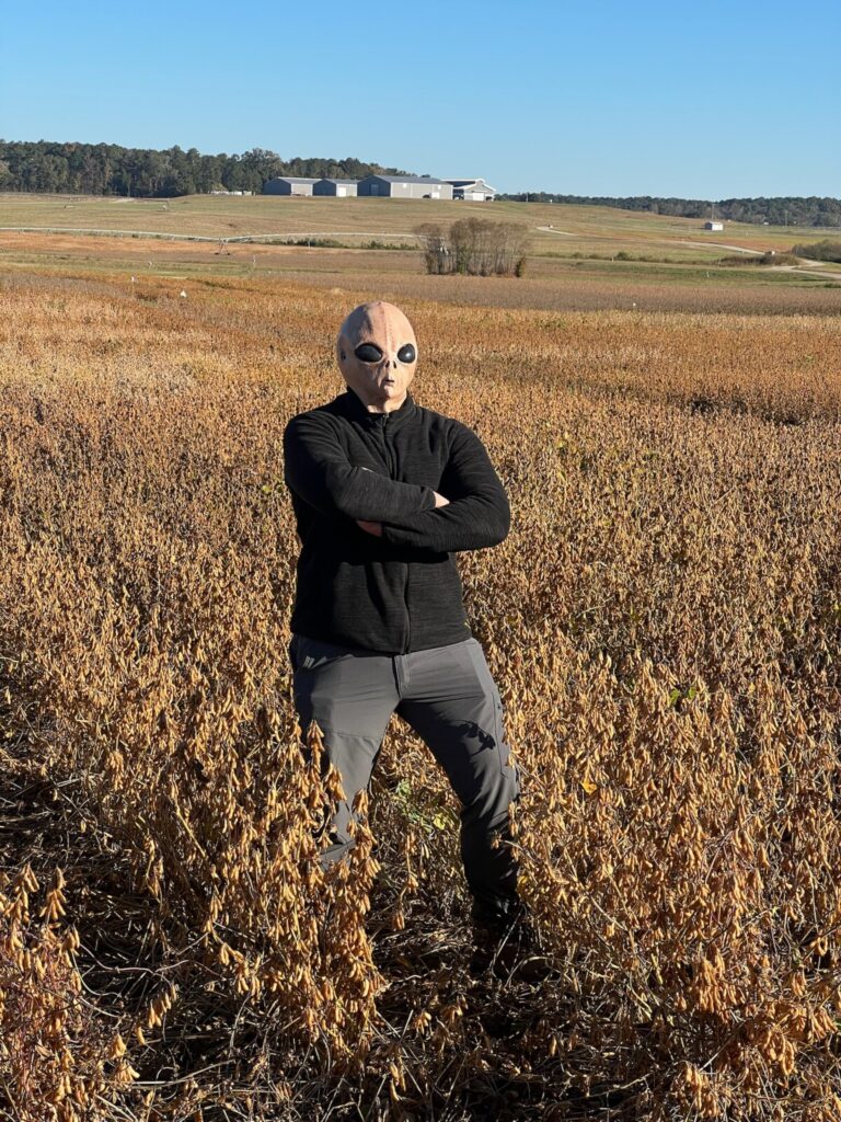 Someone wearing an alien mask standing in a soybean field with their arms crossed (large view).